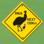 Emu veszély a következő 120 km-en
